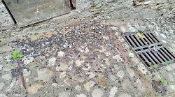 "Un borgo invaso dai piccioni". L'appello di chi vive nella frazione di Guadamello 