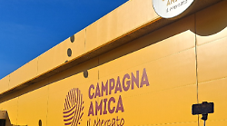 Terni, al Mercato coperto di Largo Manni pomeriggio con "Pet&rsquo;s Amore!&rdquo;: sfilata per cani e adozioni