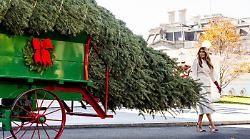 Natale alla Casa Bianca con i Trump: la First Lady svela le decorazioni ufficiali