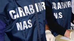 Traffico illecito di farmaci dopanti. Blitz all'alba dei Nas in 40 province: perquisizioni anche a Terni