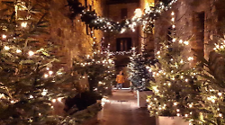 Presepe artistico Luci e dolci magie per festeggiare il Natale: il programma del fine settimana 