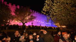 Ponte dell'Immacolata, Boom di turisti per grande albero sul lago 