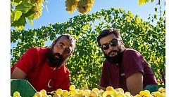 Lumiluna: i restauratori di vigne 