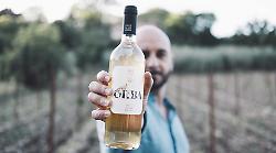 Fonte Santa Maria, il vino di Terni che nasce a due passi dalla Cascata delle Marmore