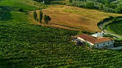 La Veneranda: l'anima di Montefalco tra Sagrantino e tradizione 