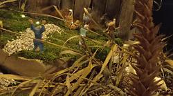 Acquasparta, tante iniziative per le feste a cura della Pro Loco. E i cittadini donano le statuine per allestire il presepe