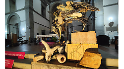 Presepe scomodo con il corvo del male, il deserto e i messaggi su guerra e consumismo