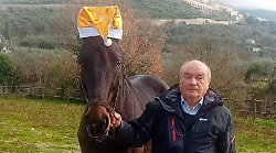 Lettera appello di un allevatore: "Regalateci un futuro sereno"