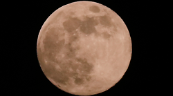 Superluna del lupo, quando ammirare la prima Luna piena del 2026 e perch&egrave; si chiama cos&igrave;. Tutti i fenomeni astronomici da non perdere quest'anno