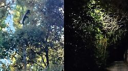 "Cos'&egrave; cambiato con la giunta Ferdinandi?". Verde, luce e multe, non solo piani di serie B