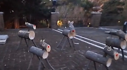 Dopo l'orsetto sparabolle i ladri rubano pure le renne di un ristorante di Assisi