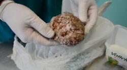 Allarme esche avvelenate a Perugia: il Comune fa scattare subito l'ordinanza