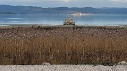 La vegetazione cresce sul lungolago. La crisi idrica prosciuga la battigia e favorisce canneti ed erbe infestanti: "Subito interventi"