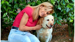 Ospedale veterinario pubblico 24 ore su 24 a Perugia: la proposta di Scoccia approda in commissione