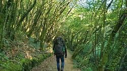 Checco Zalone lancia il "Buen Camino": le previsioni nei percorsi senesi e aretini