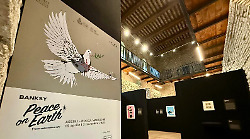 Record storico con la mostra di Banksy: registrati oltre 75 mila visitatori. Sindaco Stoppini: "Un risultato senza precedenti"
