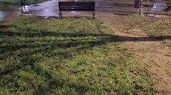 Terni, vertice in Prefettura sulla sicurezza durante la festa di San Valentino. Focus su viale Martiri della Libert&agrave;