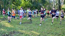 Podismo, l'Umbria va veloce: &egrave; top 10 nazionale per numero di gare