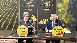 Umbria del vino, ecco le venti cantine vincitrici del concorso enologico nazionale