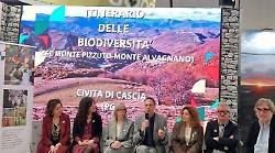 "Per un turismo competitivo serve promozione condivisa". Intervista al sindaco De Carolis