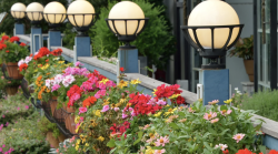 Febbraio, il mese perfetto per rinnovare il terrazzo con nuovi fiori: ecco quali comprare, come piantarli e gli errori da evitare