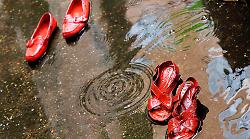 Violenza sulle donne in Umbria, 3 femminicidi e 1.316 procedimenti nel 2025: i numeri dalla procura generale di Perugia