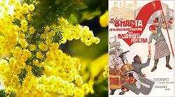 Perch&eacute; la giornata internazionale della donna si celebra l'8 marzo: storia e origini 