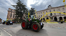 Trattori e 2mila persone in piazza Italia. Coldiretti Umbria: "Difendiamo il reddito degli agricoltori"