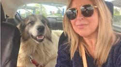 Condomini aperti agli animali: le regole della convivenza