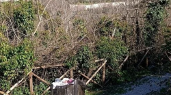 Assisi, cittadini lanciano petizione online contro il degrado al percorso verde