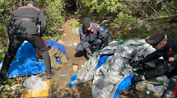 Terni, blitz dei carabinieri nei boschi a caccia dei pusher. Scattano quattro arresti. Sequestrata droga