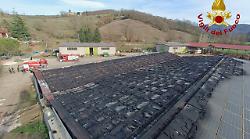 Incendio in una stalla: bruciano tetto e pannelli solari. Morti alcuni bovini