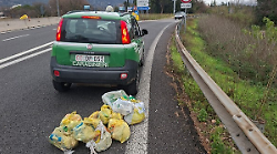 Terni, abbandona i rifiuti sulla strada. Denunciato e multato dai carabinieri forestali un pendolare viterbese
