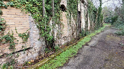 Terni, rinasce l'ex Gruber dopo anni di abbandono. Disco verde ai lavori per sistemare l'edificio della filatura