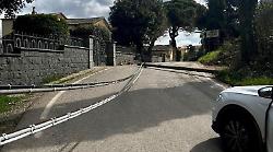 Il forte vento abbatte albero e linea telefonica: ancora disagi a Canale