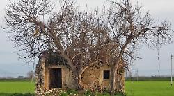 La storia della chiesa di Sant'Eurosia sfuggita alla tragedia: un tesoro dimenticato a Spello