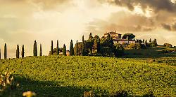 Cantina Todini: un terroir tra storia e innovazione