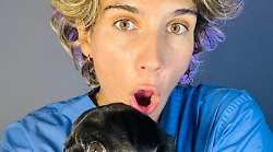 Terni, on line i primi eventi in programma al Tic Festival 2026. In arrivo la quarta edizione con le star dei social