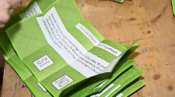 In Umbria fronte del S&igrave; frenato dagli elettori di Forza Italia e Lega, l'analisi di Brachelente e Forcina