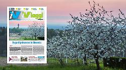 Dalla primavera in Slovenia alle Filippine, fino alla Londra del calcio: sfoglia l'inserto iViaggi di marzo 