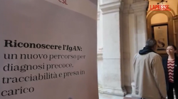 Roma, un manifesto per diagnosi e presa in carico della nefropatia da IgA