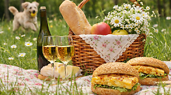 Pasquetta 2026, dal portabicchieri al cocktail mix, dalla crema solare ai consigli per cani e gatti: la guida per il picnic perfetto
