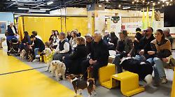 Pet's amore ha fatto centro: successo per la sfilata degli amici a 4 zampe al mercato coperto Campagna amica