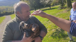 Todi, spettacolare salvataggio di due cagnoline: Tequila e Zucchina erano finite in un pozzetto. Ritrovate dopo dieci giorni