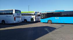 Speculazioni sul caro gasolio: blocco in vista per gli autobus turistici