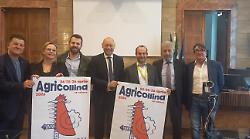 Montecastrilli, si riaccendono i riflettori su Agricollina. In arrivo al Centro Fiere pi&ugrave; di 200 espositori