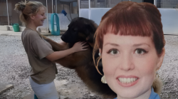 Caso Helenia, la Cassazione decide il 29 aprile: omicidio stradale o colpa della sindrome Osas dell'automobilista