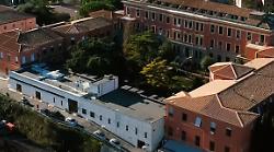 Emergenza sangue per gatti e cani: a Perugia come funziona l'ospedale veterinario e l'emoteca