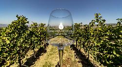 Terre de La Custodia: eccellenza del vino umbro tra tradizione, innovazione e territorio