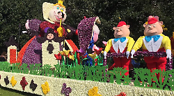 Festa del tulipano: chi l&rsquo;ha inventata? Gli olandesi o un imprenditore visionario?